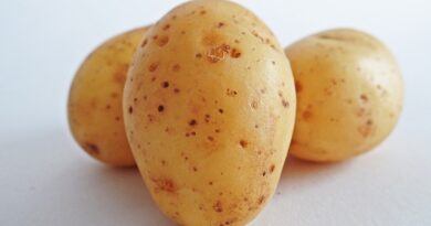 Ile czasu piec ziemniaki w piekarniku?