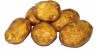 Jak zrobić ziemniaki na grillu?