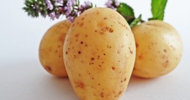 Jak zrobić ziemniaki puree?