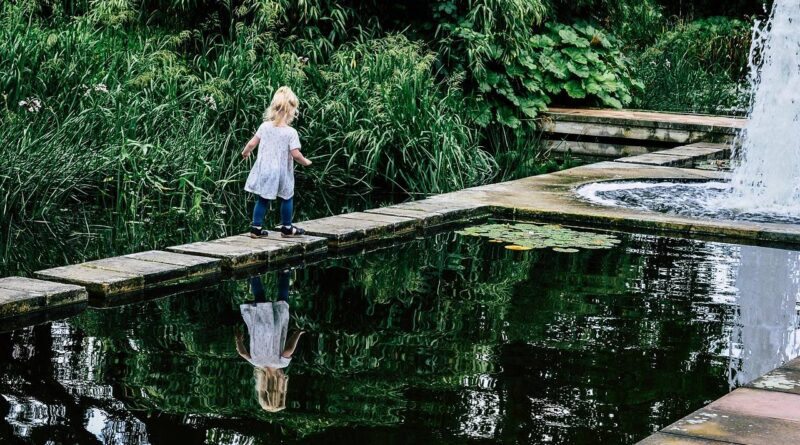 Kto powinien wykonać projekt ogrodu?